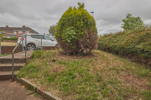 Front Garden- click for photo gallery